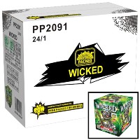 pp2091-wicked-case