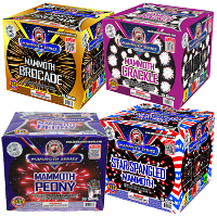 Fireworks - 500G Firework Cakes - Mammoth Aerial 500g Fireworks Assortment