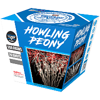 Fireworks - 500G Firework Cakes - 15% Off Howling Peony Fan 500g Fireworks Cake