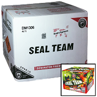 Seal Team Wholesale Case 4/1 Fireworks For Sale - Wholesale Fireworks 