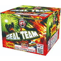 dm1306-sealteam