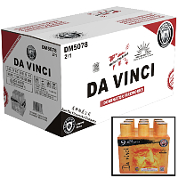 da Vinci 500g Wholesale Case 2/1 Fireworks For Sale - Wholesale Fireworks 