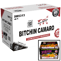 dm5313-bitchincamaro-case