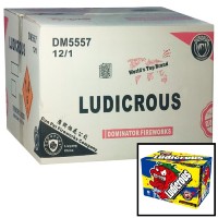 Fireworks - Wholesale Fireworks - Ludicrous 500g Wholesale Case 12/1