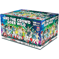 And the Crowd Goes Wild 500g Fireworks Cake Fireworks For Sale - 500g Firework Cakes 