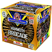 Mammoth Brocade Pro Level 500g Fireworks Cake Fireworks For Sale - 500G Firework Cakes 