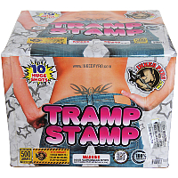 Tramp Stamp 500g Fireworks Cake Fireworks For Sale - 500g Firework Cakes 