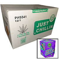 Just Chillin Wholesale Case 12/1 Fireworks For Sale - Wholesale Fireworks 